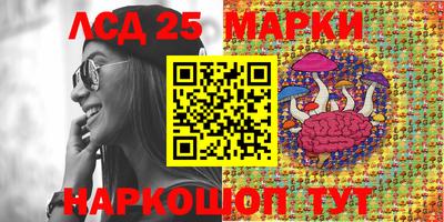 mdpv Новозыбков