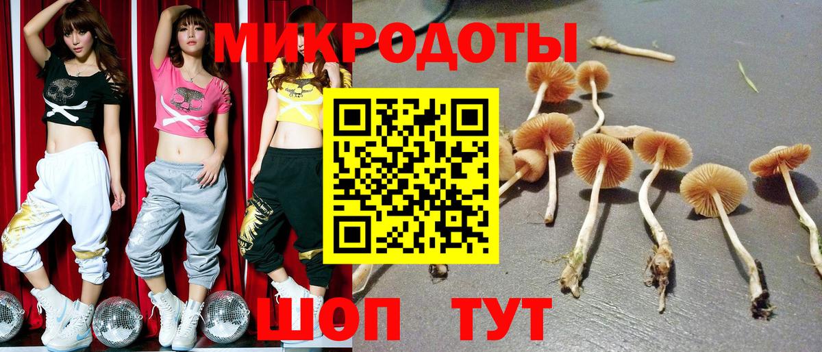 Галлюциногенные грибы Psilocybine cubensis Урай