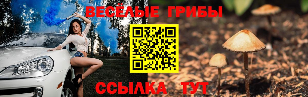 Урай  Псилоцибиновые грибы Psilocybe  Вход с VPN  Псилоцибиновые грибы Psilocybe 